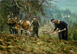 Animaux - Chevaux - Paysans - Labours - CPM - Voir Scans Recto-Verso - Cavalli