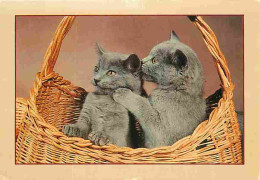 Animaux - Chats - Chatons - Carte Neuve - CPM - Voir Scans Recto-Verso - Cats