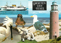 Pays-Bas - Nederland - Texel - Multivues - CPM - Voir Scans Recto-Verso - Texel