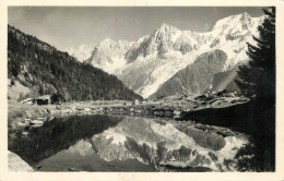 74 - MASSIF DU MONT BLANC VU DU COUPEAU - Autres & Non Classés