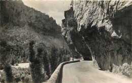 48 - GORGES DU TARN - ENCORBEILLEMENT AU BAUMES VIEILLES - Gorges Du Tarn