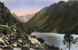 65 - CAUTERETS - Cauterets