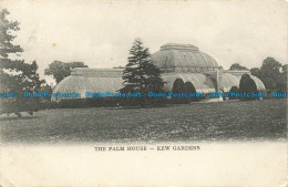 R638902 Kew Gardens. The Palm House. London Empire Series 861. 1905 - Other & Unclassified