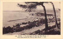 06 - NICE - VUE PRISE ENTRE LES PINS DU MONT BORON - Andere & Zonder Classificatie