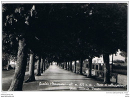 GUALDO:  VIALE  VITTORIO  VENETO  -  FOTO  -  FG - Macerata