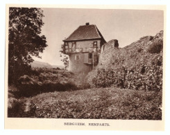 1938 - Héliogravure - Bergheim (Haut-Rhin) - Les Remparts - Unclassified