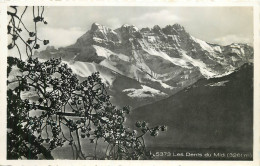 SUISSE - LES DENTS DU MIDI - Other & Unclassified