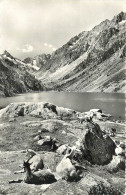 65 - LES PYRENEES - LAC DE GAUBE - Other & Unclassified