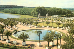  78 - VERSAILLES - L'ORANGERIE - Versailles (Château)