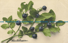 R638974 Blueberry. Martin Rommel. 1917 - Monde