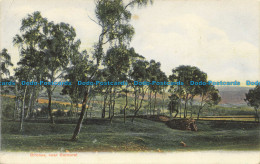 R639522 Birches Near Balmoral. G. W. W. 1906 - Monde