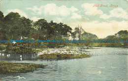 R640356 Brigg. Gull Pond. 1905 - Monde