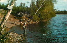 CANADA - SALMON FISHING - NEWFOUNDLAND - Autres & Non Classés