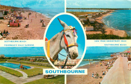 ENGLAND - SOUTHBOURNE - Altri & Non Classificati