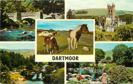 ENGLAND - DARTMOOR - Other & Unclassified