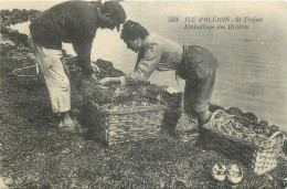 17 - ILE D'OLERON - CARTE D'AUTREFOIS - REPRODUCTION - Ile D'Oléron