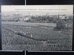 Vendanges En Champagne Panorama D'un Vignoble Pendant Les Vendanges - Wijnbouw