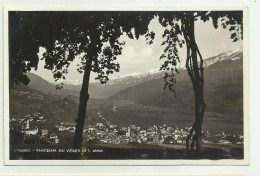 SONDRIO - PANORAMA DAI VIGNETI DI S.ANNA  - NV FP - Sondrio