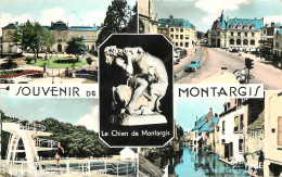 45 SOUVENIR DE MONTARGIS - Montargis