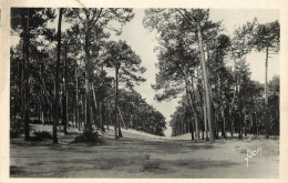 33 ARCACHON LES DUNES - Arcachon