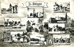 18 LA SOLOGNE MULTIVUES - Otros & Sin Clasificación