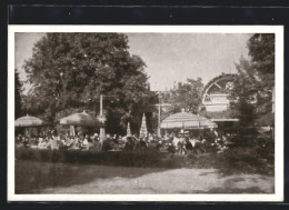 AK Wien, Kaffee-Restaurant Brandl Im Schweizergarten, II. Parkteil  - Sonstige & Ohne Zuordnung