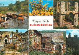 48 VISAGES DE LA LOZERE MULTIVUES - Autres & Non Classés