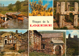 48 VISAGES DE LA LOZERE MULTIVUES - Sonstige & Ohne Zuordnung