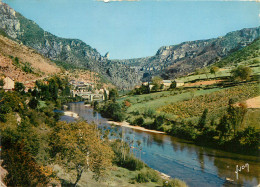 48 GORGES DU TARN LES VIGNES - Gorges Du Tarn