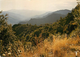 48 CORNICHE DES CEVENNES - Sonstige & Ohne Zuordnung