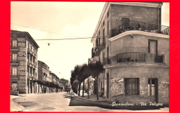 ITALIA - Abruzzo - Cartolina Non Viaggiata - Gessopalena (Chieti) - Via Peligna - Andere & Zonder Classificatie