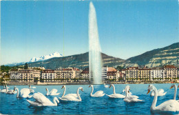 SUISSE - GENEVE - Other & Unclassified