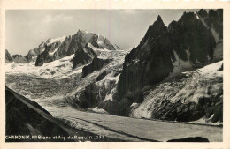 74 - CHAMONIX - MONT BLANC - AIGUILLE DU REQUIN - Chamonix-Mont-Blanc