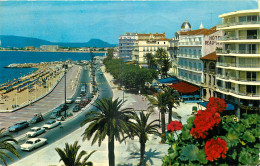 83  SAINT RAPHAEL - Saint-Raphaël