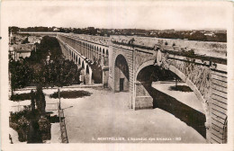 34  MONTPELLIER  - Montpellier