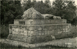 55  VERDUN  CHAMP DE BATAILLE   MONUMENT DE LA CHAPELLE ST FINE - Verdun