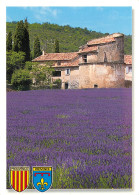 84 PROVENCE LA LAVANDE - Andere & Zonder Classificatie