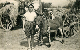 17 ILE DE RE ANE EN CULOTTE - Ile De Ré