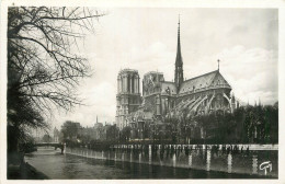 75 PARIS  NOTRE DAME - Notre-Dame De Paris