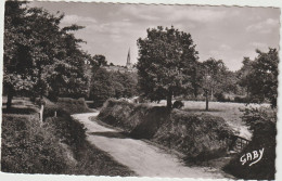 Mayenne : NEUILLY Le Vendin : Le    Route  Des  Champs - Autres & Non Classés