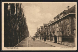 AK Frankenthal, Blick In Die Lambsheimerstrasse  - Frankenthal