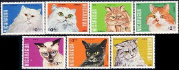 Nicaragua 1984 / Mammals Cats MNH Gatos Säugetiere Katzen / He89  38-7 - Gatos Domésticos