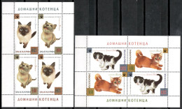 Bulgaria 2013 / Cats MNH Gatos Chats Katzen / Cu20939  4-8 - Hauskatzen