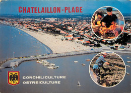 17 CHATELAILLON PLAGE - Châtelaillon-Plage