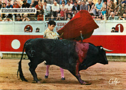 CORRIDA MIGUEL MARQUEZ - Stierkampf