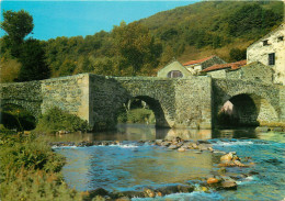 63 ENTRE BESSE ET SAINT NECTAIRE PONT DE SAURIER - Autres & Non Classés