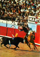 CORRIDA TOROS REJONEO - Stierkampf