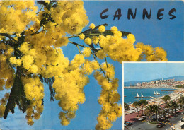 06 CANNES  - Cannes