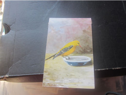 A Birla Bird Old Postcards - Autres & Non Classés