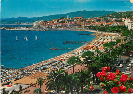 06 CANNES  - Cannes